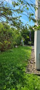 a yard with green grass next to a house at Haus Blindenmarkt in Amstetten