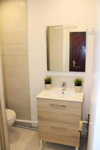 a bathroom with a sink with two potted plants on it at Résidence Le Bois D'aurouze - Studio pour 4 Personnes 701 in Le Dévoluy