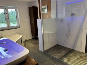 a bathroom with a sink and a glass shower at Ferienhaus Frank Grieser in Hopferau
