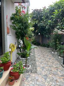 a garden with potted plants and flowers on a walkway at Arya Roof House in Marmaris