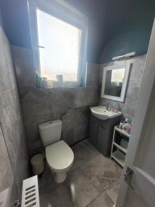 uma casa de banho com um WC, um lavatório e uma janela em Recently Renovated Dublin City House em Dublin