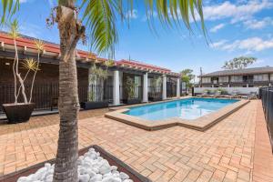 una palmera y una piscina en un patio en Zebra Motel, en Coffs Harbour