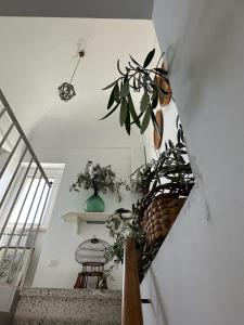een trap met planten en een tafel in een kamer bij LA CASA SUL MARE in San Vito Chietino