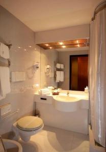 a bathroom with a toilet and a sink at Hotel Executive Meeting & Events in Udine