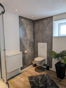 EimelrodにあるFerienwohnung Zum Kühlen Grundのバスルーム(トイレ、植物付) +16枚の写真