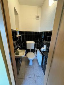 a small bathroom with a toilet and a sink at Ewald von Holten in Bremerhaven