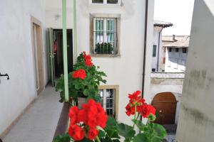 Gallery image of Hotel Sole Holiday in Arco