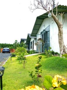 ein weißes Haus mit einer grünen Tür und einem Baum in der Unterkunft Hotel Cù Lao 3 (TiTi) in Tây Ninh