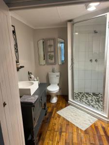 a bathroom with a shower and a toilet and a sink at Oudam Overnight Accomodation in Bloemfontein
