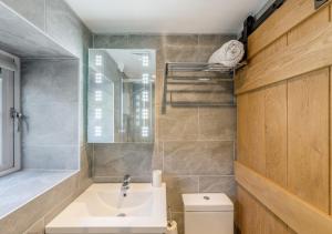 a bathroom with a sink and a toilet and a mirror at Y Nyth in Cerrig-y-Druidion