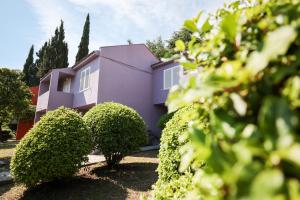 Zahrada ubytování Apartments Medena