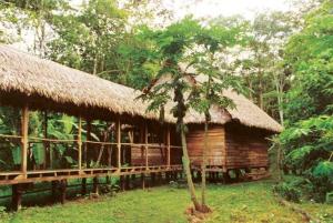 Gallery image of Inotawa Lodge in Tambopata
