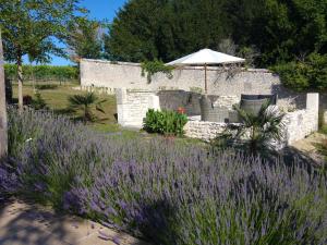 un jardín con flores púrpuras y una sombrilla en Chic Apartment in Segonzac with Swimming Pool, en Segonzac