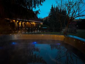 a swimming pool in front of a house at night at Elixír Guest House in Izvoare
