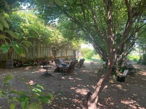a group of chairs and a tree in a yard at Distinctive tiny house in Sarrians with terrace in Sarrians