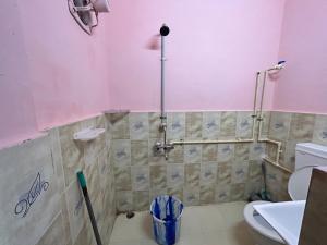 a bathroom with a toilet and a pink wall at Munin's Guest House in Jorhāt