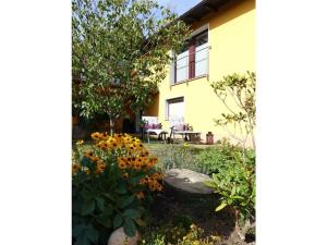 un jardin en face d'une maison jaune dans l'établissement Holiday apartment Seimbergblick, à Brotterode