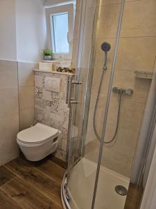 een badkamer met een toilet en een glazen douche bij Room Ela in Donji Seget