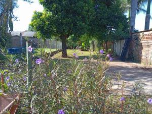 ハルディン・アメリカにあるCasa jardínの紫の花と木のある庭園 +5枚の写真