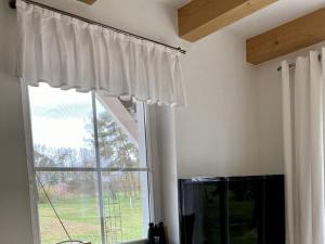 a window with white curtains in a room at Holiday home Elster-Swedenhaus 