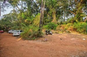 un chemin de terre avec des voitures et des arbres garés dans l'établissement Baga Treasures, à Goa