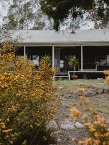 a house with a porch and plants in front of it at Sunken Sea Shack - waterfront getaway in Eggs and Bacon Bay