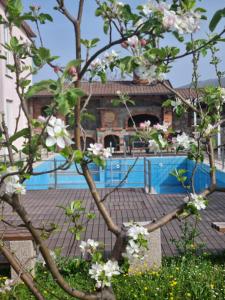 uma árvore com flores brancas em frente a uma piscina em Hacienda Kolenda em Mostar