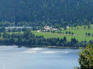 una vista aérea de un gran lago con árboles en Holiday apartment Biermann, en Schluchsee