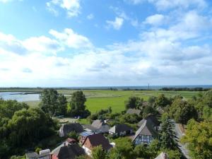 una vista aérea de una localidad con un río y árboles en Apartment in Ostseebad Ahrenshoop, en Wustrow