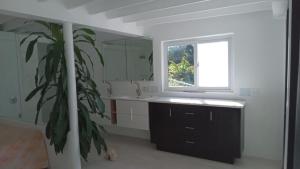 ein Badezimmer mit einem Waschbecken, einem Fenster und einer Pflanze in der Unterkunft Ocean view Rocky Hill in Content
