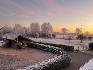 a barn in a field with snow on the ground at Pleasant apartment in Münster in Münster
