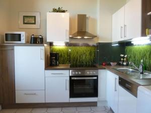 Kjøkken eller kjøkkenkrok på Amazing apartment in Görlitz