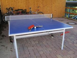 uma mesa de pingue-pongue com uma raquete e uma bola em House Schwarzwaldblick Ettenheim em Ettenheim