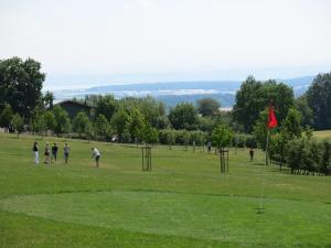 un grupo de personas jugando al golf en un campo en Holiday apartment feel-good time, en Markdorf