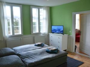 Dormitorio con cama y tocador con TV en Holiday home Deichkind on the Elbe dike, en Mödlich
