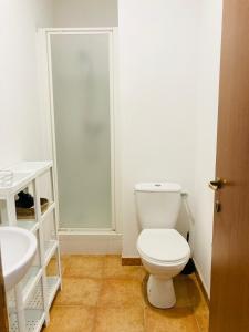 La salle de bains est pourvue de toilettes blanches et d'un lavabo. dans l'établissement Punta di Mare, appartements comme sur un bateau, à Linguizzetta