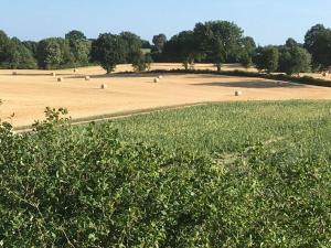 صورة لـ Holiday Home in Nature with Sauna في Wensin