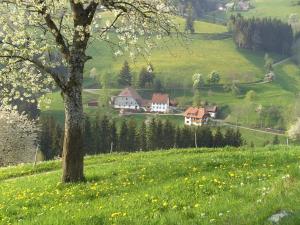 a tree in a field of green grass with houses at Pleasant holiday home with balcony in Seelgut +14 photos