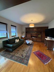 ein Wohnzimmer mit einem Sofa und einem Teppich in der Unterkunft Ruhe Oase Ferienwohnung in der Steiermark Leoben-Proleb mit Privater Überdachter Terasse und Parkplatz in Proleb