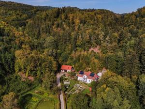 eine Luftansicht eines Hauses inmitten eines Waldes in der Unterkunft Holiday apartment Forsthaus Heilsberg in Wiesent