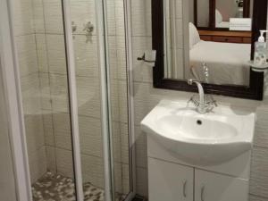 ein Bad mit einer Dusche, einem Waschbecken und einem Spiegel in der Unterkunft La Cordier in Kroonstad