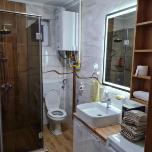 a bathroom with a toilet and a sink and a shower at Apartman Dalmacija in Ečka +18 photos