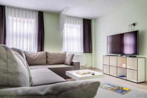 ein Wohnzimmer mit einem Sofa und einem Flachbild-TV in der Unterkunft Apartment Schlossblick Wernigerode in Wernigerode