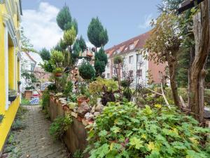 a garden with plants and trees on a street at Comfortable Apartment in Wismar Mecklenburg with Fireplace in Wismar