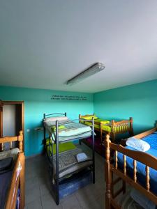 2 literas en una habitación con paredes verdes en Albergue Rural La Rueca, Fariza, 