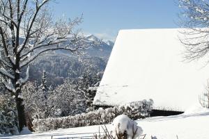 a snow covered house with a mountain in the background at Holiday Village Vorauf Siegsdorf in Siegsdorf