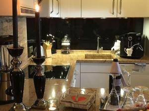 Kuchyň nebo kuchyňský kout v ubytování Holiday Apartment Garden Suite + 18 fotografií