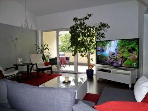 ein Wohnzimmer mit einem großen Flachbild-TV in der Unterkunft Holiday apartment Schedler in Gerbrunn