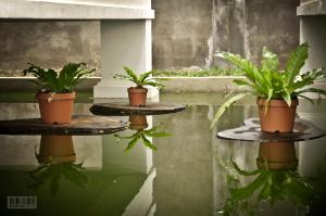 Fotografie z fotogalerie ubytování Cleon Villas Pension v destinaci Puerto Princesa