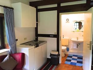 a small bathroom with a sink and a toilet at Holiday Home in Kirchdorf with Swimming Pool Terrace Garden in Kirchdorf